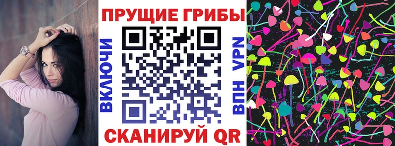 Псилоцибиновые грибы мицелий  гидра как войти  Асино  где купить  